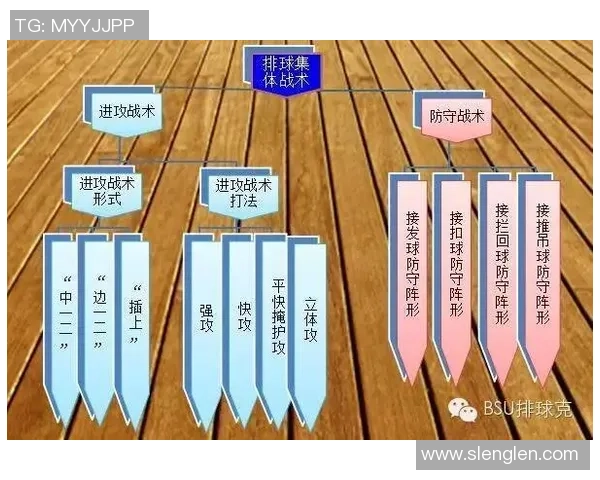 北京排球队的战术变革与球员转换深度解析 北京排球队的战术变革与球员转换深度解析