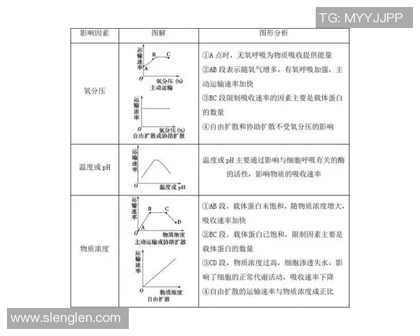 重庆排球队速度表现分析及其对比赛胜负的影响探讨