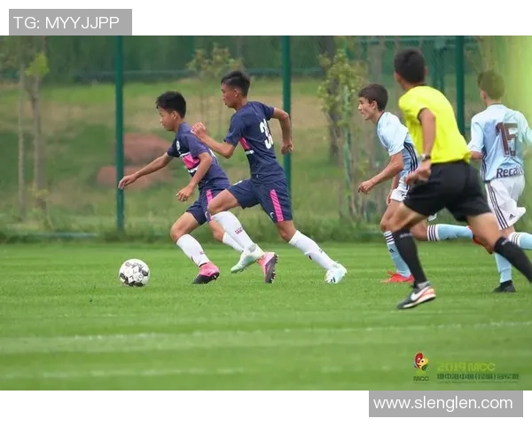 为法语足球加油助威共同见证精彩瞬间与辉煌成就