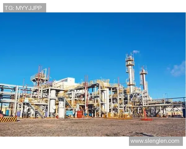 区域防守策略解析：液化天然气市场的应对之道与发展趋势