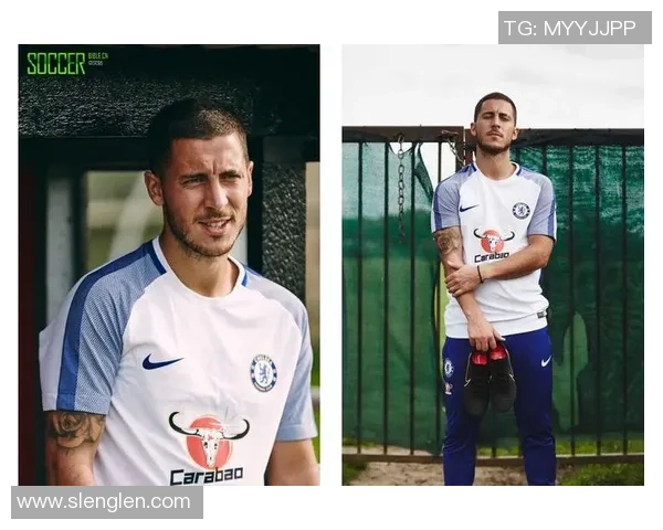 羽毛球传奇赵伟的职业生涯回顾与未来展望对话