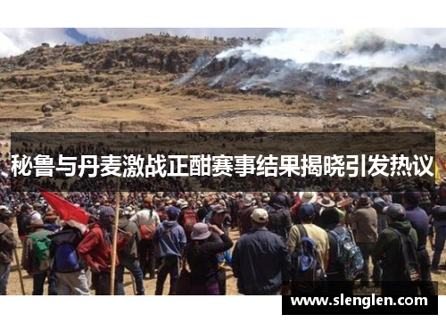 秘鲁与丹麦激战正酣赛事结果揭晓引发热议